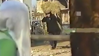 土耳其情侣互相亲吻和玩弄对方的乳房